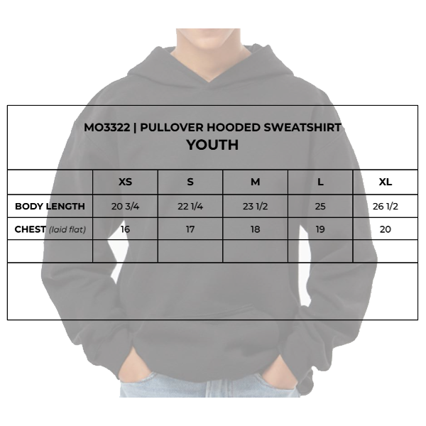 SOFTSTYLE PULLOVER HOODIE 1C