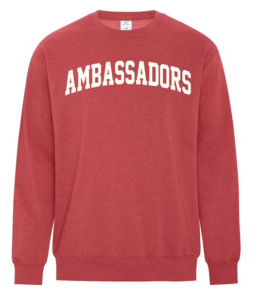 VINTAGE STYLE CREWNECK | AMBASSADORS