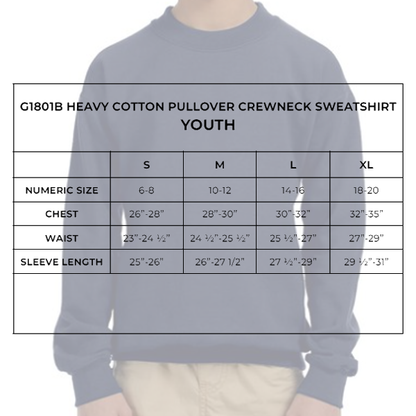 CB COTTON PULLOVER HOODIE