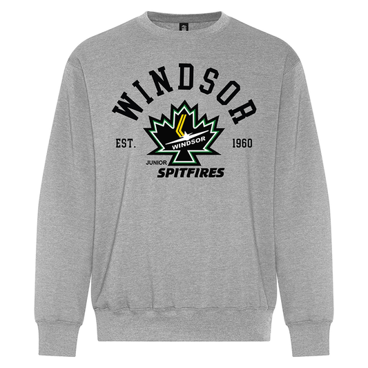 SOFTSTYLE CREWNECK | VARSITY